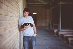 How to read the markdown files in ReactJS